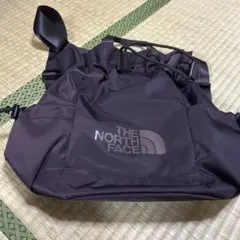 THE NORTH FACE 韓国限定 ボニー パック バケット バッグ