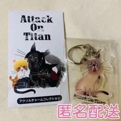 2025年最新】黒ねこ意匠 進撃の巨人の人気アイテム - メルカリ