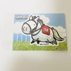 UMAbred ウーマブレッド ゴールドシップ グッズ６点セット UMAbred ウーマブレッド ゴールドシップ グッズ6点セット