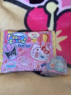 サンリオ パッケージチャーム ハンギョドン