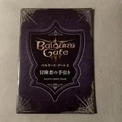 新品未使用 バルダーズゲート3 特典 冒険者の手引き