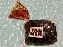 Item thumbnail for item 688d6696-633d-4698-bb2b-5f62f55b3ba2