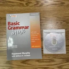 Basic Grammar in Use 第三版