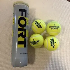 Item thumbnail for item 9e16955d-36f9-404d-906b-e15a1956c586