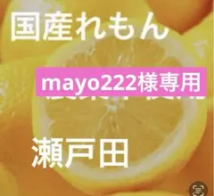 mayo222様専用レモン