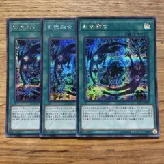 影依融合　シャドールフュージョン　中国　アジア版　プリズマ　プリシク 影依融合 シャドールフュージョン 中国 アジア版 プリズマ