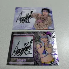 Item thumbnail for item 60c2d796-29db-4243-8a83-32190ce0ae57