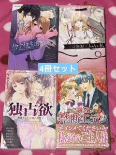 TL レディースコミック4冊　(ミッシィコミックスYLC Collection)