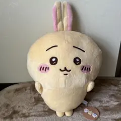 ゆたぬき様専用