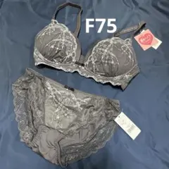F75/L チュチュアンナ　運命のブラ　ノンワイヤー　グレー　ブラショーツセット