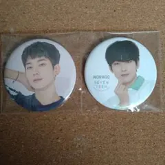 SEVENTEEN　 缶バッジ　2個セット　ウォヌ