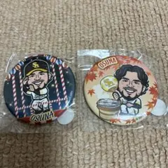即購入⭕️ 福岡ソフトバンクホークス オスナ投手 若鷹ガチャ 缶バッジ