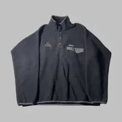 16年製 Patagonia シンチラ フリース スナップT