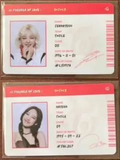 TWICE ナヨン　ジョンヨン　SCIENTIST IDカードセット