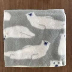 Item thumbnail for item 56805d60-37f9-4c60-bc7f-a29d618075b6