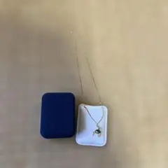 Item thumbnail for item 95e21373-784e-4f28-87fb-b69c3d9ece8f