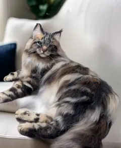 Item thumbnail for item a3af55ab-a53d-43a0-a8c5-6a35edb37909