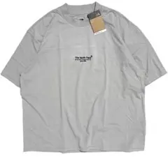 新品 ノースフェイス AXYS Tee Tシャツ バックプリント US:XL