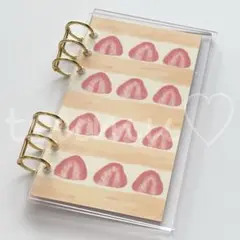 アクリルバインダー 貯金 リフィル バインダー貯金 韓国雑貨 家計簿 家計管理