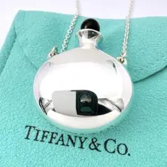 2025年最新】ティファニー ネックレス ボトルの人気アイテム - メルカリ