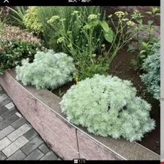 あんたん様 リクエスト 2点 まとめ商品