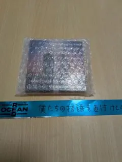 東方神起 プレミアムシートグッズ 日産スタジアム 2026 - メルカリ