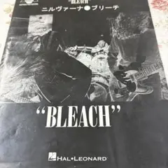 Item thumbnail for item 241e711c-5330-4cbb-bed1-4d094993fe75