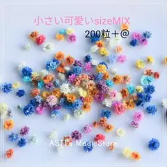 極小サイズ かすみ草 MIX 約200粒 ドライフラワー 花材 - メルカリ
