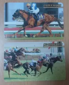 競馬カード