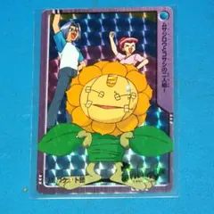 カードダス ポケモン アニメコレクション 71 ロケット団 ムサジロウとコサシ