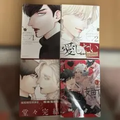 I love KABUKICHO 他BL4冊セット