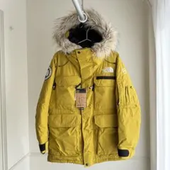 THE NORTH FACE Southern Cross Parka