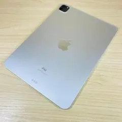 iPad Pro 第2世代 11インチ ※ジャンク品 2025年最新】ipad pro 11 第2世代 ジャンクの人気アイテム