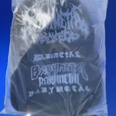 Item thumbnail for item 5ba594bc-414f-4a47-b17c-2ae31b32e15b