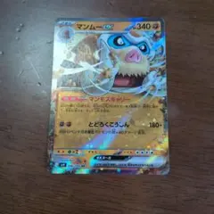 マンムーex RR SV9 バトルパートナーズ 046/100