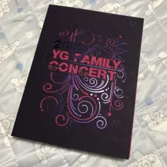 2012 YG FAMILY CONCERT DVD 3枚組 BIGBANG - メルカリ