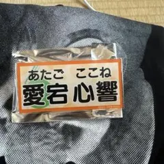 乃木坂46 乃木坂スター誕生 six 6期生 名札レプリカバッチ 愛宕心響のサムネイル