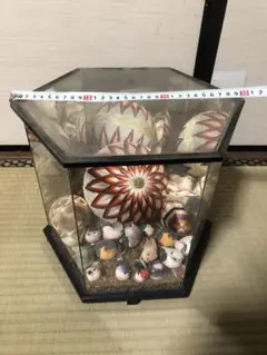 「柳川まり」福岡県 柳川市 風習 ガラスケース34.2cm 背面 鏡 福玉 飾り 柳川まり大まり用 飾りガラスケース さげもんつるし飾り : 柳川