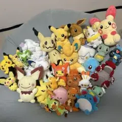 レア ポケモンドール ポケドール ぬいぐるみ まとめ売り ヒメグマ