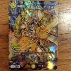 神聖龍 エモーショナル・ハードコア