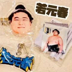 相撲ガチャ【若元春】３点セット