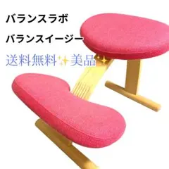 【未使用級】サカモトハウス Rybo バランスイージー ショートフレーム Amazon.co.jp: バランスラボ バランスイージー ショートフレーム 通常