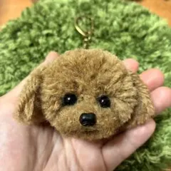 ＊うるうるトイプードル　毛糸キーホルダー＊ぬいぐるみマスコット　薄茶色　レッド