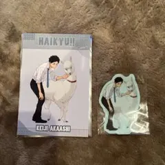 ハイキュー　東武動物公園　赤葦京治　ポストカード　特典Ｌ版カード