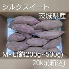 シルクスイート 20kg(箱込) M~L(約200g～500g) 茨城県産