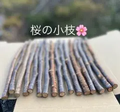 Item thumbnail for item d1e3f9da-6e70-46af-9c17-7813d7d2a450