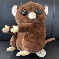 Item thumbnail for item 6046477b-f861-4f5f-872c-721c084dfdeb