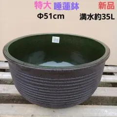 新品　∅50　陶器睡蓮鉢　特大　メダカ鉢　難有　エメラルドグリーン　緑黒　LBK 新品 特大51 陶器睡蓮鉢 メダカ鉢 難有 エメラルドグリーン 緑黒 高級