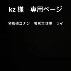 kz 様　専用ページ