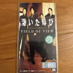 FIELDOFVIEW 湧いた叫び CD 8mm 遊戯王 邦楽　平成　シングル